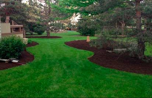 Nice green lawn sod and beautiful mulch